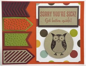 owl sorry sick